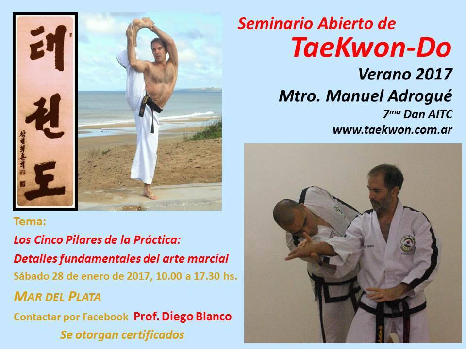 afiche mardelplata enero 2017