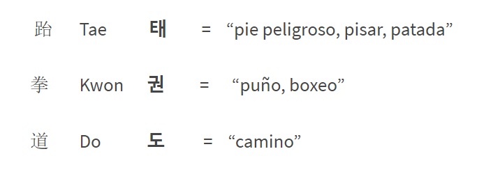 tae kwon do significado